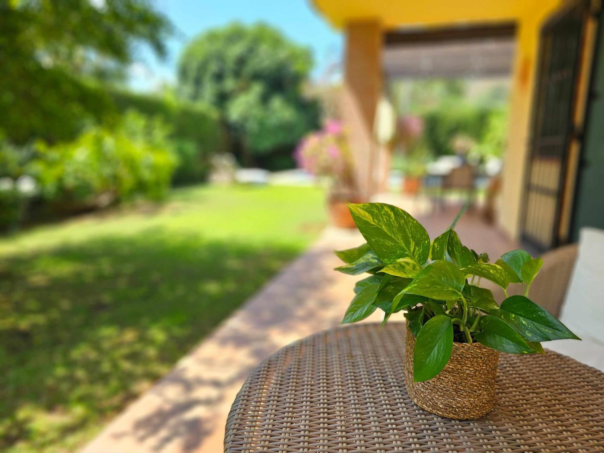 Heal Cerca Puerto Banus Villa Marbella